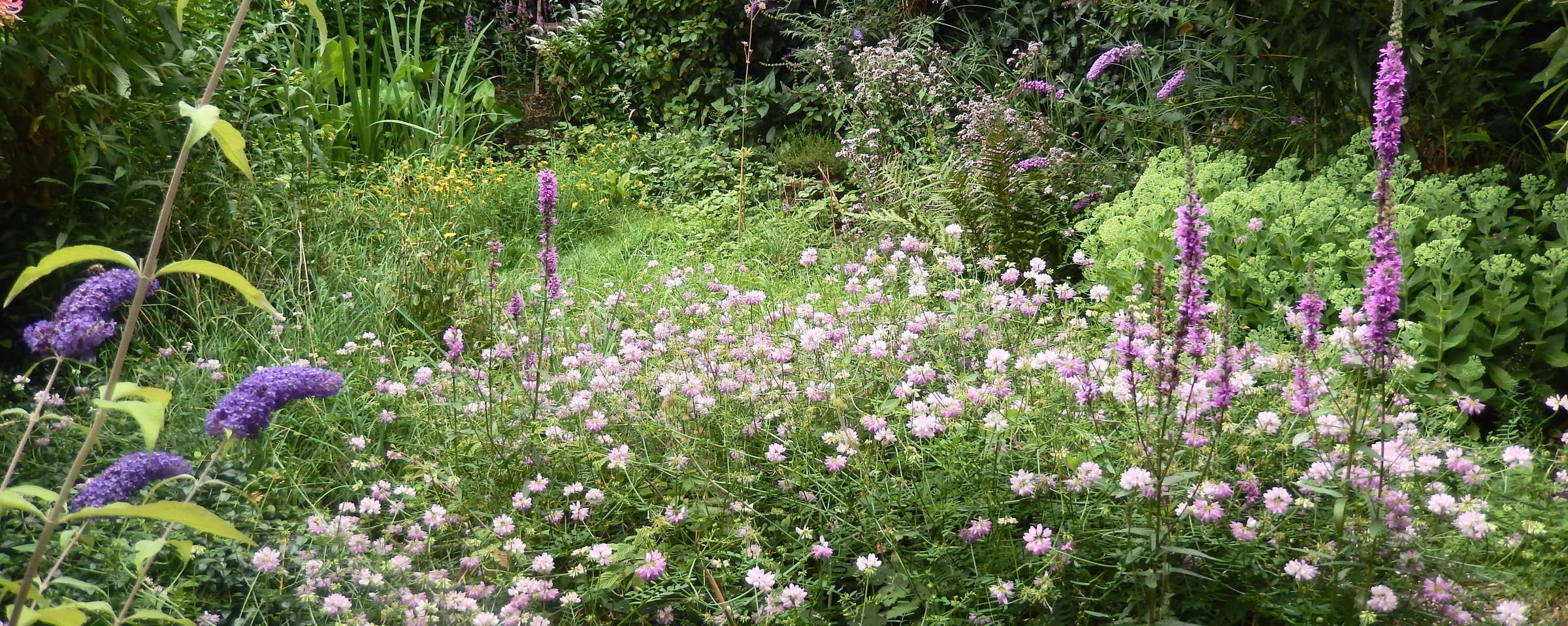 tuin akkerwinde – primair.jpg